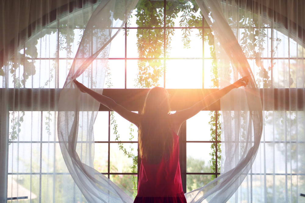 Window Energy Efficiency: SHGC